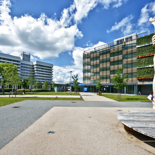 Lister hospital grounds photo